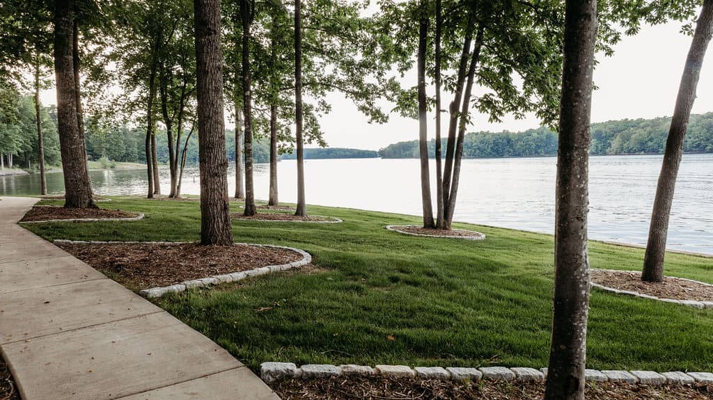 Featured image for “Grading & Drainage Explained: The Foundation of a Healthy Yard”